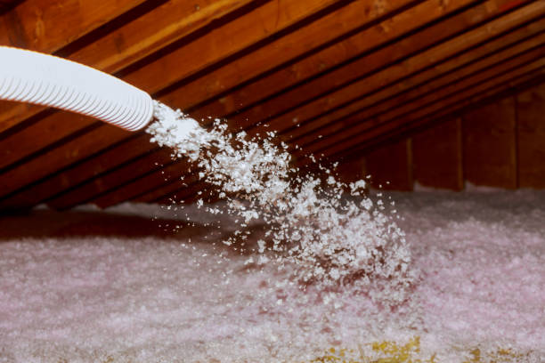 Insulation Inspection Services in Rockvale, TN