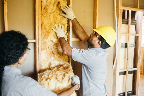 Best Crawl Space Insulation  in Rockvale, TN