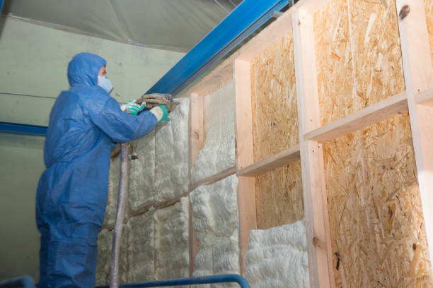 Best Spray Foam Insulation  in Rockvale, TN